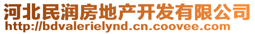 河北民潤房地產開發(fā)有限公司