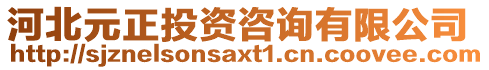 河北元正投資咨詢有限公司