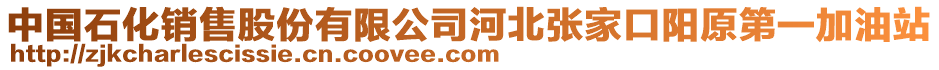 中国石化销售股份有限公司河北张家口阳原第一加油站