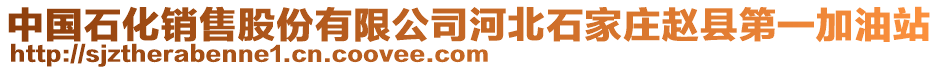 中國(guó)石化銷售股份有限公司河北石家莊趙縣第一加油站