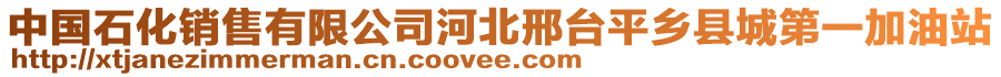 中國石化銷售有限公司河北邢臺(tái)平鄉(xiāng)縣城第一加油站