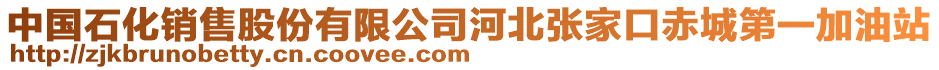 中國石化銷售股份有限公司河北張家口赤城第一加油站