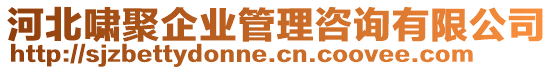 河北嘯聚企業(yè)管理咨詢(xún)有限公司