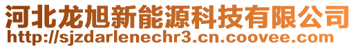 河北龍旭新能源科技有限公司