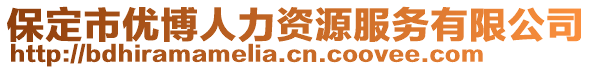 保定市優(yōu)博人力資源服務(wù)有限公司