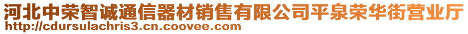 河北中榮智誠通信器材銷售有限公司平泉榮華街營業(yè)廳