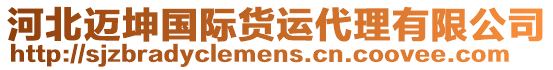 河北邁坤國際貨運代理有限公司