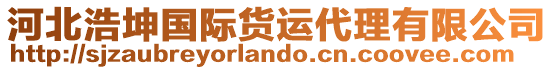 河北浩坤國際貨運(yùn)代理有限公司