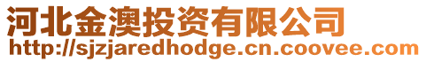 河北金澳投資有限公司