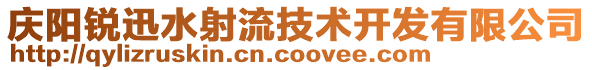 慶陽(yáng)銳迅水射流技術(shù)開發(fā)有限公司