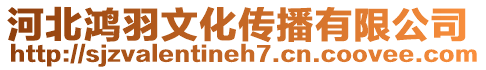 河北鴻羽文化傳播有限公司