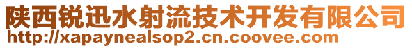 陜西銳迅水射流技術(shù)開發(fā)有限公司