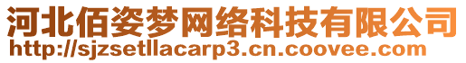 河北佰姿梦网络科技有限公司