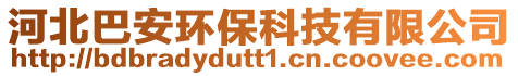 河北巴安環(huán)保科技有限公司