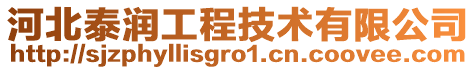 河北泰潤工程技術有限公司