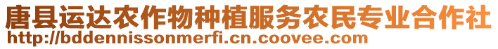 唐縣運(yùn)達(dá)農(nóng)作物種植服務(wù)農(nóng)民專業(yè)合作社