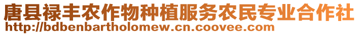 唐縣祿豐農(nóng)作物種植服務(wù)農(nóng)民專(zhuān)業(yè)合作社