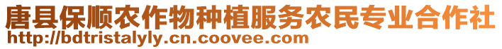 唐縣保順農作物種植服務農民專業合作社