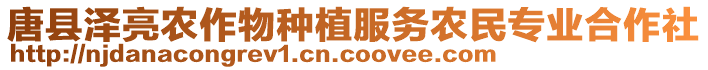 唐縣澤亮農(nóng)作物種植服務(wù)農(nóng)民專業(yè)合作社