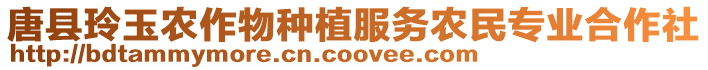 唐縣玲玉農(nóng)作物種植服務(wù)農(nóng)民專業(yè)合作社