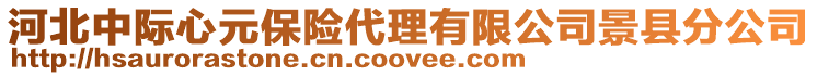 河北中際心元保險代理有限公司景縣分公司