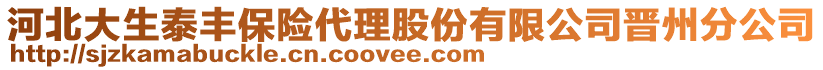 河北大生泰豐保險代理股份有限公司晉州分公司