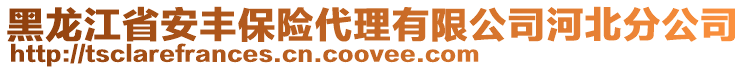 黑龍江省安豐保險代理有限公司河北分公司