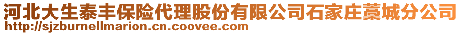 河北大生泰豐保險代理股份有限公司石家莊藁城分公司