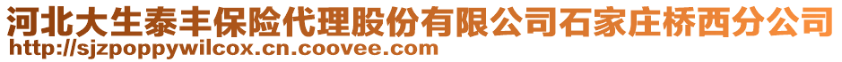 河北大生泰豐保險(xiǎn)代理股份有限公司石家莊橋西分公司