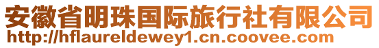 安徽省明珠國際旅行社有限公司