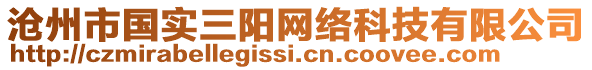 滄州市國實三陽網(wǎng)絡(luò)科技有限公司