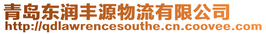 青島東潤豐源物流有限公司