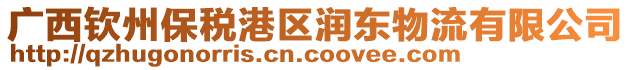 广西钦州保税港区润东物流有限公司