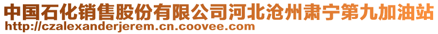 中國(guó)石化銷售股份有限公司河北滄州肅寧第九加油站