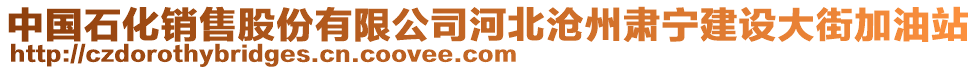 中国石化销售股份有限公司河北沧州肃宁建设大街加油站