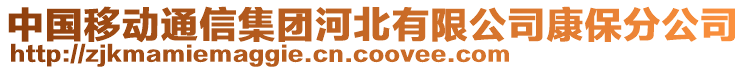 中國移動通信集團河北有限公司康保分公司