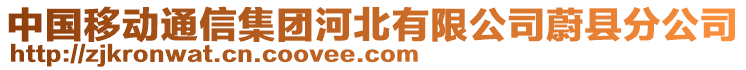 中國移動通信集團河北有限公司蔚縣分公司