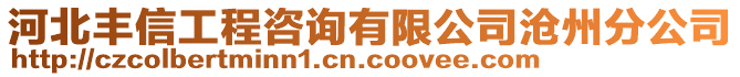 河北豐信工程咨詢有限公司滄州分公司