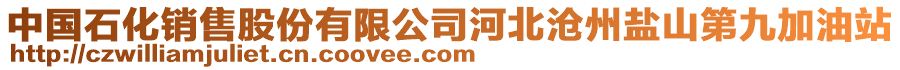 中國(guó)石化銷售股份有限公司河北滄州鹽山第九加油站