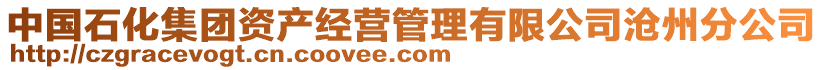 中國石化集團(tuán)資產(chǎn)經(jīng)營管理有限公司滄州分公司