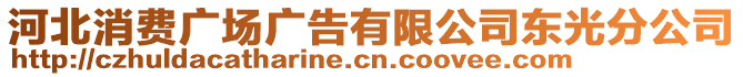 河北消費廣場廣告有限公司東光分公司