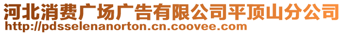 河北消費(fèi)廣場廣告有限公司平頂山分公司