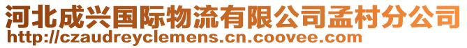 河北成兴国际物流有限公司孟村分公司