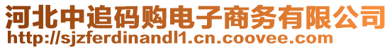 河北中追碼購電子商務有限公司