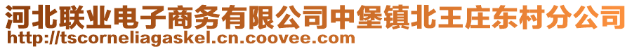 河北聯(lián)業(yè)電子商務(wù)有限公司中堡鎮(zhèn)北王莊東村分公司