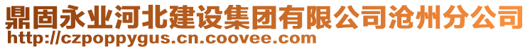 鼎固永業(yè)河北建設(shè)集團有限公司滄州分公司