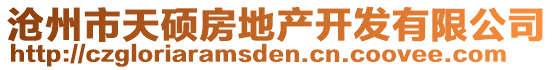 滄州市天碩房地產(chǎn)開發(fā)有限公司