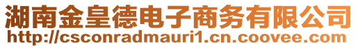 湖南金皇德電子商務(wù)有限公司