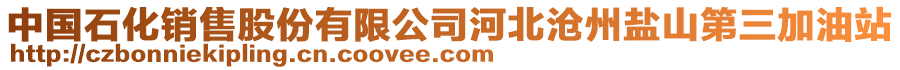 中國(guó)石化銷售股份有限公司河北滄州鹽山第三加油站