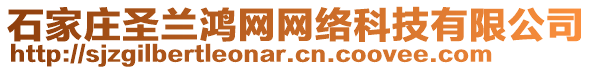 石家莊圣蘭鴻網網絡科技有限公司